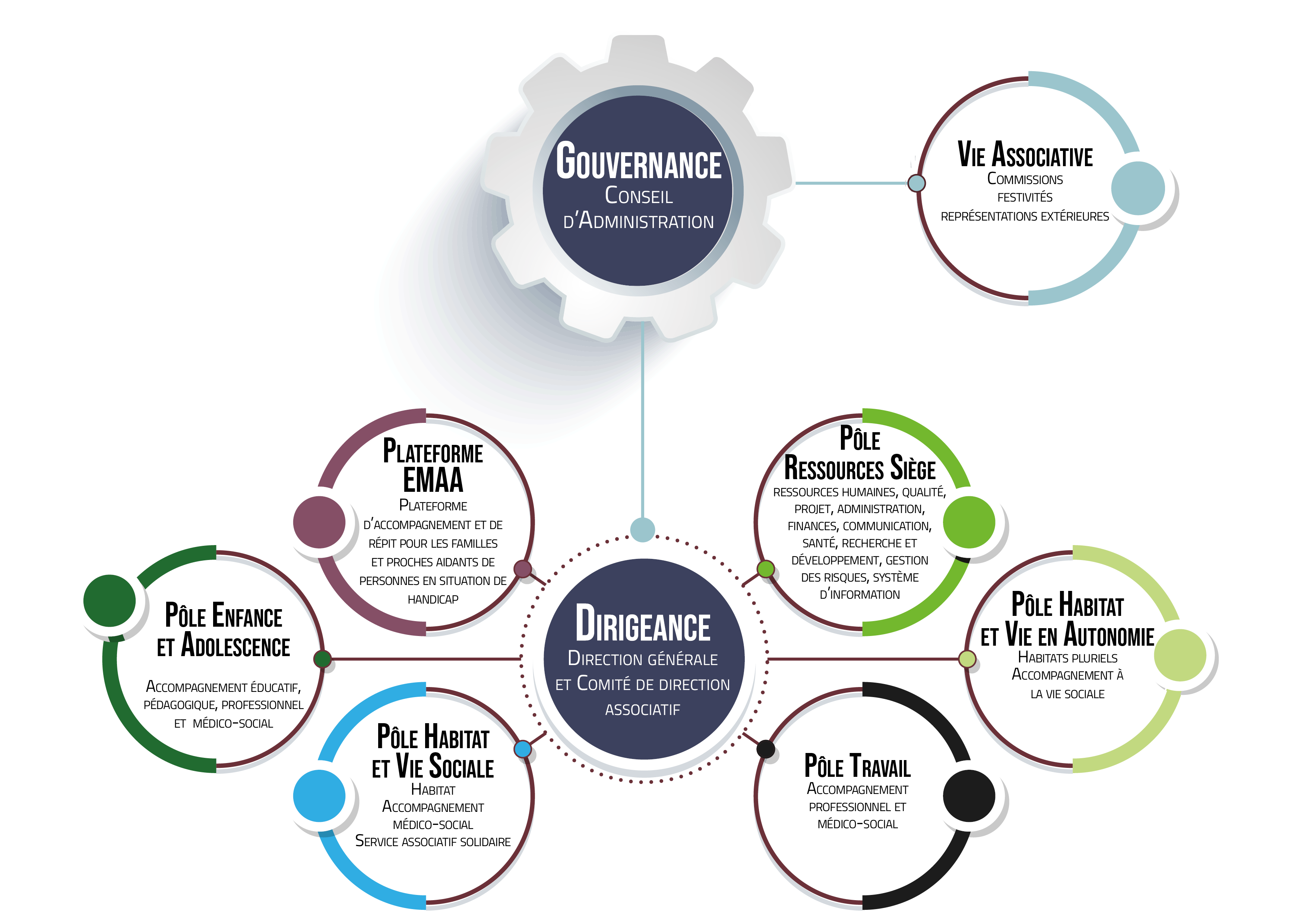 organigramme Gouvernance Dirigeance