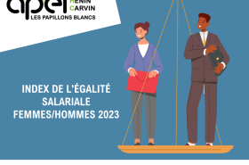 Visuel index égalité salariale Femmes / Hommes
